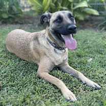 Thumbnail photo of Brooklyn #2