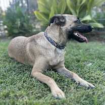 Thumbnail photo of Brooklyn #3