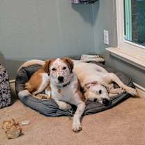 Thumbnail photo of Glory #3