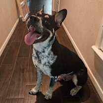 Thumbnail photo of Franklin #1