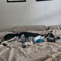 Thumbnail photo of Franklin #2