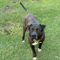 Thumbnail photo of Tennessee #1