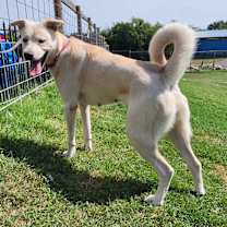 Thumbnail photo of STELLA BELLA #3