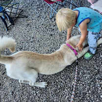 Thumbnail photo of STELLA BELLA #4