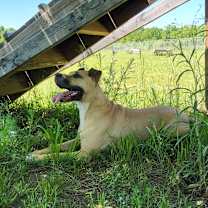 Thumbnail photo of Violet #2