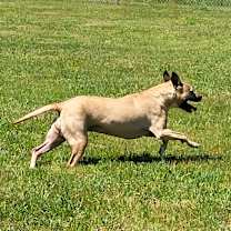 Thumbnail photo of Violet #4