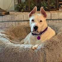 Thumbnail photo of Lady #3