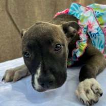 Thumbnail photo of MARGARITA #2