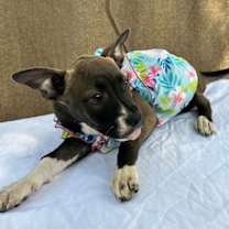 Thumbnail photo of MARGARITA #3