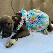 Thumbnail photo of MARGARITA #4