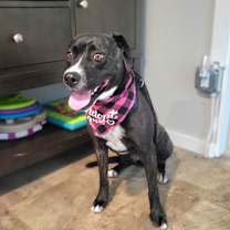 Thumbnail photo of Molly #4