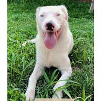 Thumbnail photo of Tessie #1