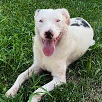 Thumbnail photo of Tessie #2