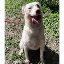 Thumbnail photo of Tessie #3