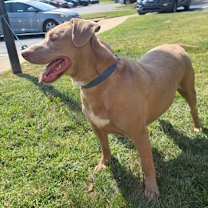 Thumbnail photo of Sammy #1