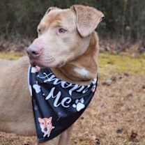 Thumbnail photo of Sammy #4