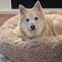 Thumbnail photo of Eddie #1