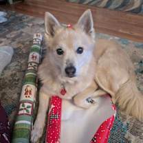 Thumbnail photo of Eddie #2