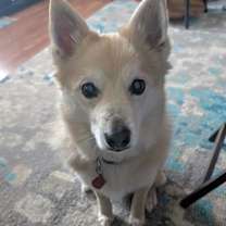 Thumbnail photo of Eddie #3