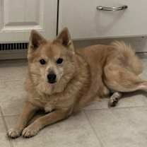 Thumbnail photo of Eddie #4