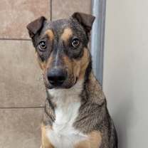 Thumbnail photo of Rhonda #3