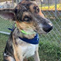 Thumbnail photo of Lucas #3