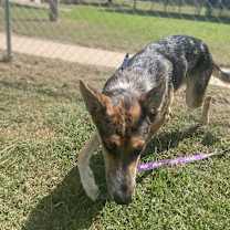 Thumbnail photo of Lucas #4