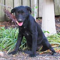 Thumbnail photo of ZADA #3