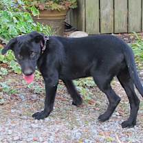 Thumbnail photo of ZADA #4