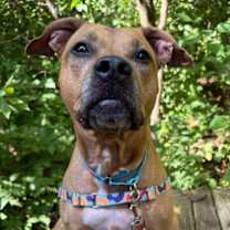 Thumbnail photo of Myra #2