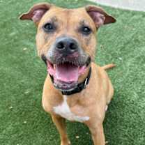 Thumbnail photo of Myra #3