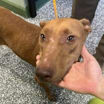 Thumbnail photo of Mona #2