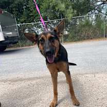 Thumbnail photo of Korianna  #2