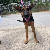 Thumbnail photo of Korianna  #3