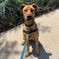 Thumbnail photo of Manny #4