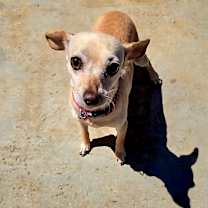 Thumbnail photo of Taffy #3