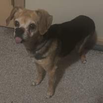 Thumbnail photo of Summer #1