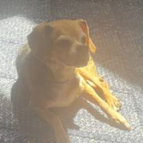 Thumbnail photo of Summer #2