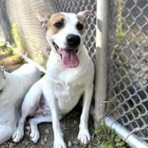 Thumbnail photo of Suzie #2