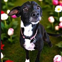 Thumbnail photo of Fiona #2