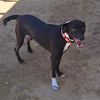 Thumbnail photo of Fiona #3