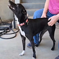 Thumbnail photo of Fiona #4