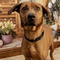 Thumbnail photo of Lil Anne #2