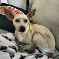 Thumbnail photo of Treasure #3