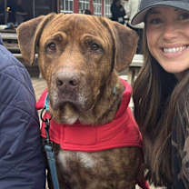 Thumbnail photo of Buddy #1