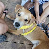 Thumbnail photo of Creed #1