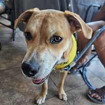 Thumbnail photo of Creed #4