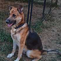 Thumbnail photo of Skype #1