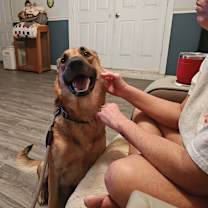 Thumbnail photo of Skype #2