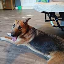 Thumbnail photo of Skype #3